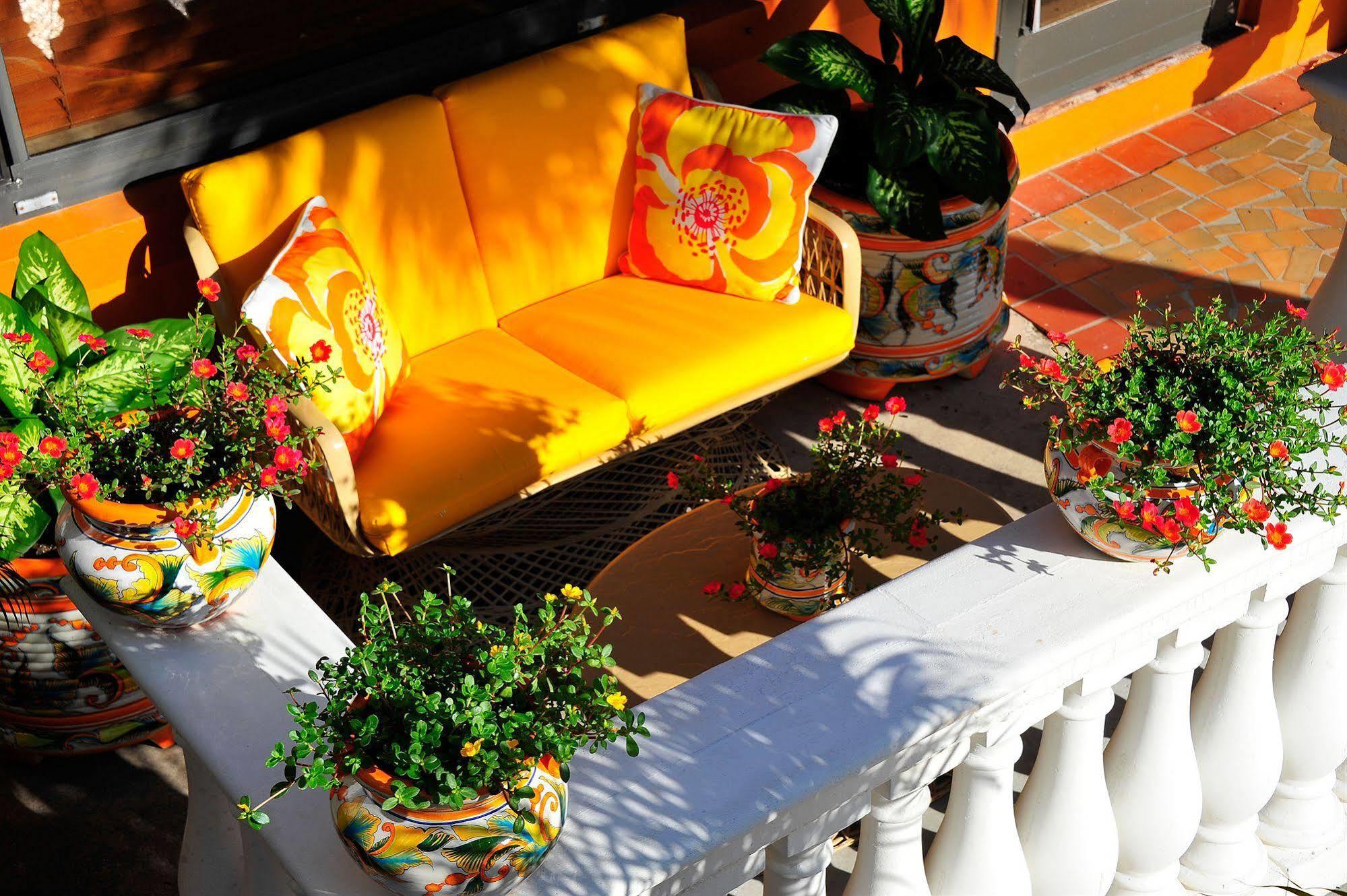 Hotel Blue Seas Courtyard à Lauderdale-by-the-Sea Extérieur photo